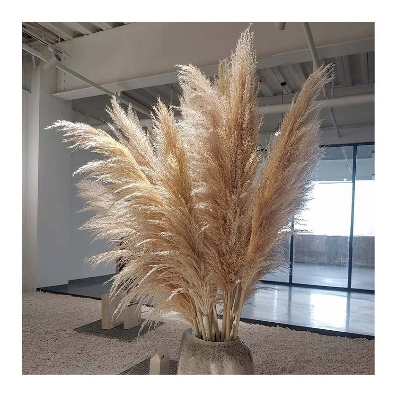 Bluejw Dried Pampas Grass Reed Decor - Natural Dried Flowers & Plants for Wedding, Home, Boho Floral Arrangements - Image 4