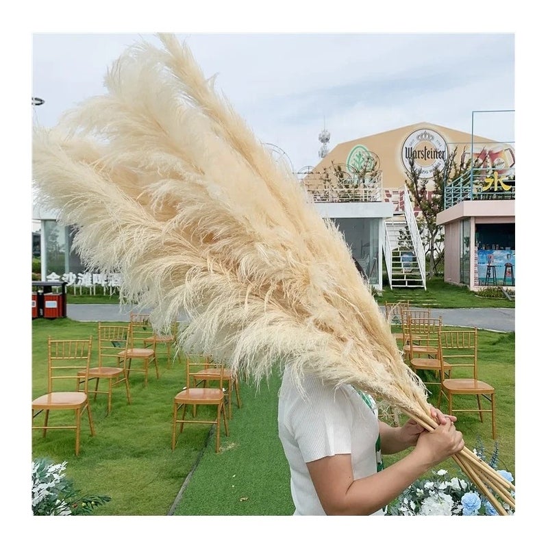 Bluejw Dried Pampas Grass Reed Decor - Natural Dried Flowers & Plants for Wedding, Home, Boho Floral Arrangements - Image 2