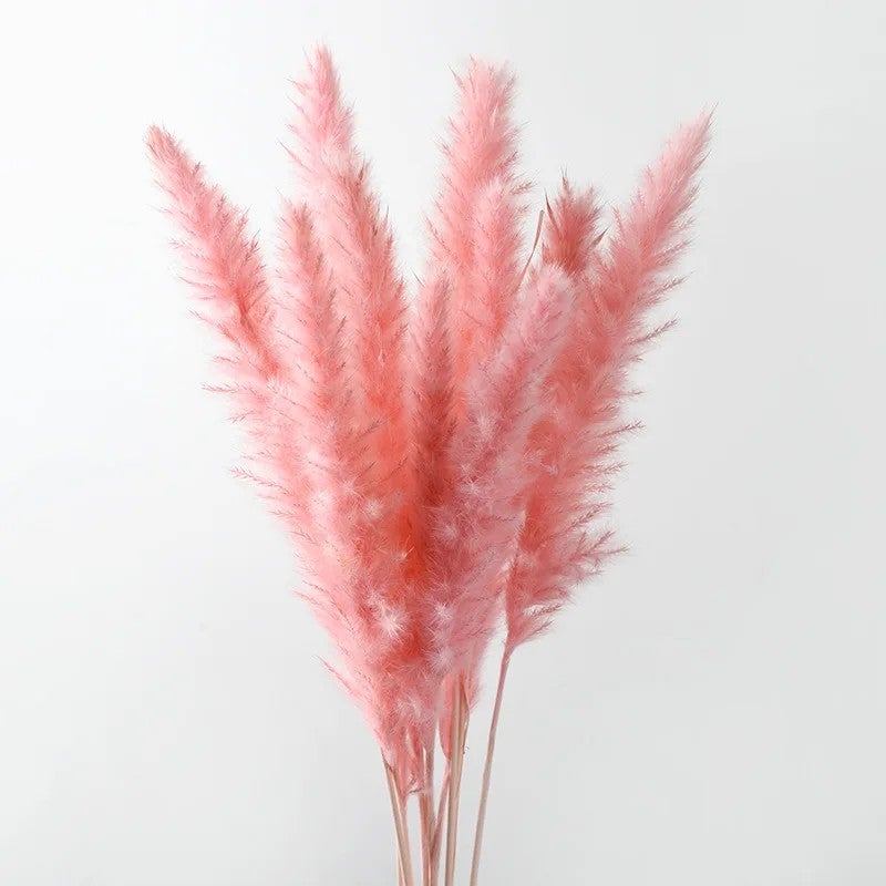 Bluejw Dried Pampas Grass Reed Decor - Natural Dried Flowers & Plants for Wedding, Home, Boho Floral Arrangements - Image 1