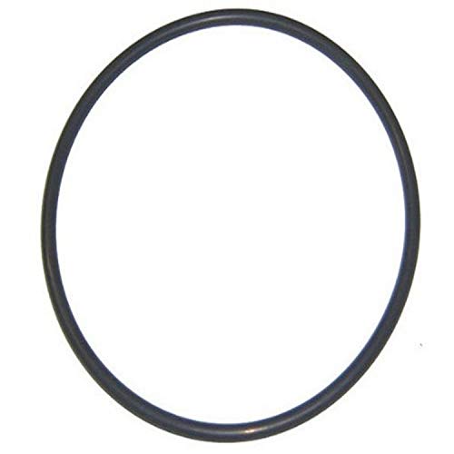 Haywards Hayward CX400G Filter Tank and Pump Lid Oring - Image 1