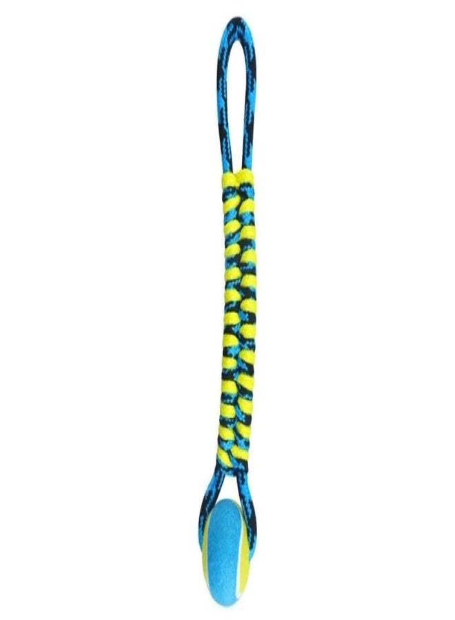 Boss Pet حبل باراكورد ملتوي من Boss Pet Products US2048-19 مع كرة تنس، أزرق - Image 3