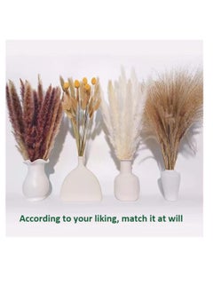 SYOSI Natural Dried Pampas Grass, Boho Decor Fluffy White Pompous Grass Large Reed Bunny Tail Wheat Stalk Decorative Plumes Italian Ruscus Solidago Goldenrod Flower Bouquet  - Image 2