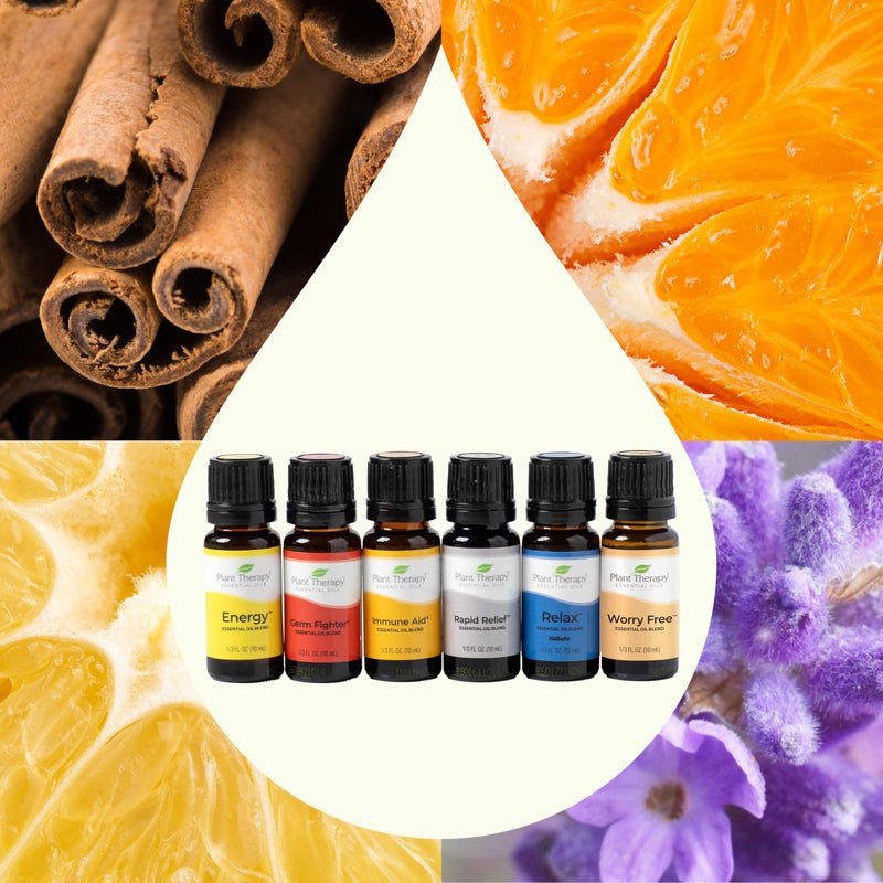 Plant Therapy Top 6 Essential Oil Blends Set 100% Pure, Undiluted, Natural Aromatherapy, Therapeutic Grade 10 mL - Image 3