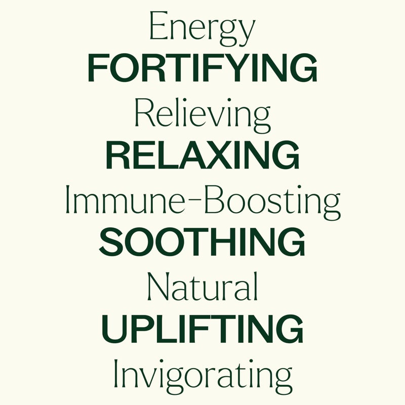 Plant Therapy Top 6 Essential Oil Blends Set 100% Pure, Undiluted, Natural Aromatherapy, Therapeutic Grade 10 mL - Image 4