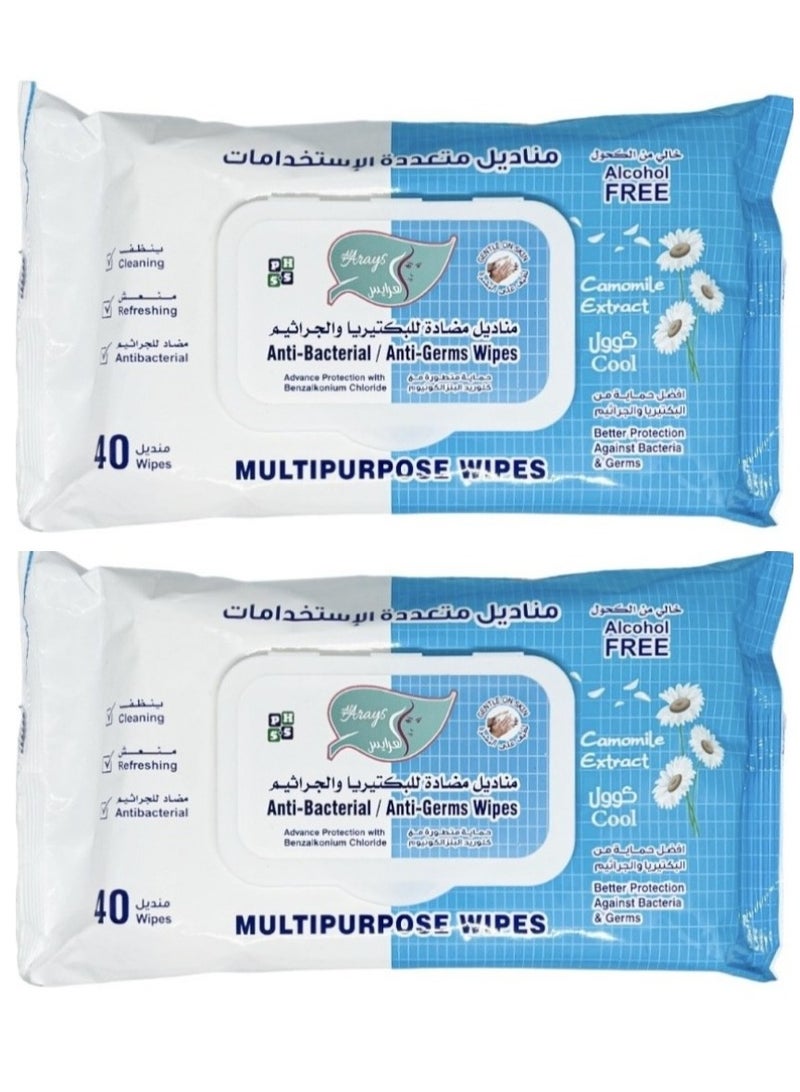 Alarays Two Pieces Of Anti Bacterial And Anti Germs Wipes 40x2 Wipes Cool