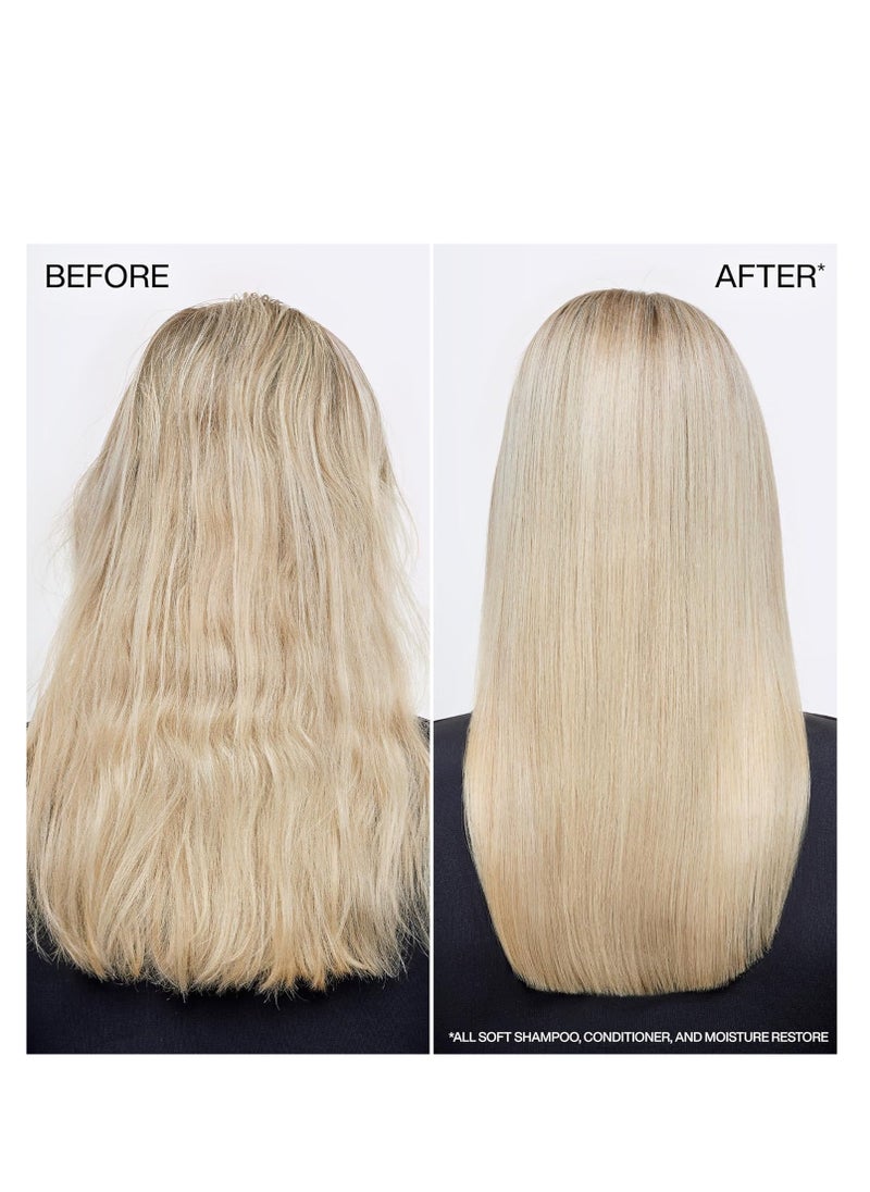 REDKEN - Redken All Soft Shampoo | For Dry/Brittle Hair | Provides Intense Softness and Shine | With Argan Oil - Image 1