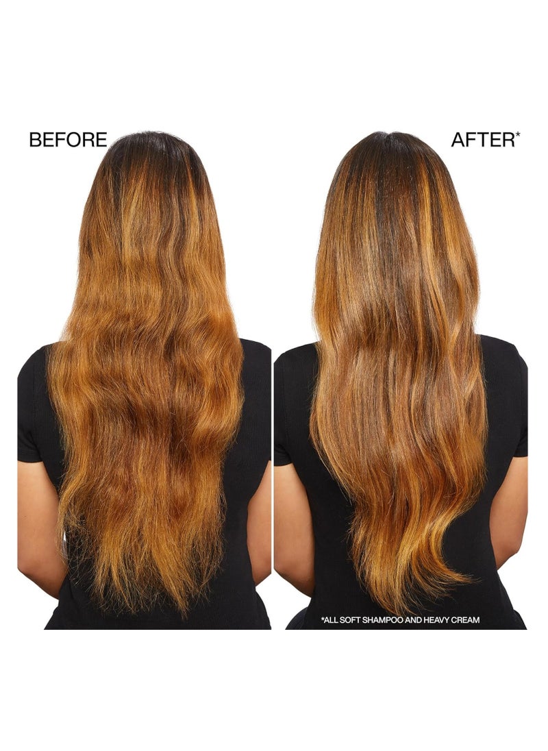 REDKEN - Redken All Soft Shampoo | For Dry/Brittle Hair | Provides Intense Softness and Shine | With Argan Oil - Image 1