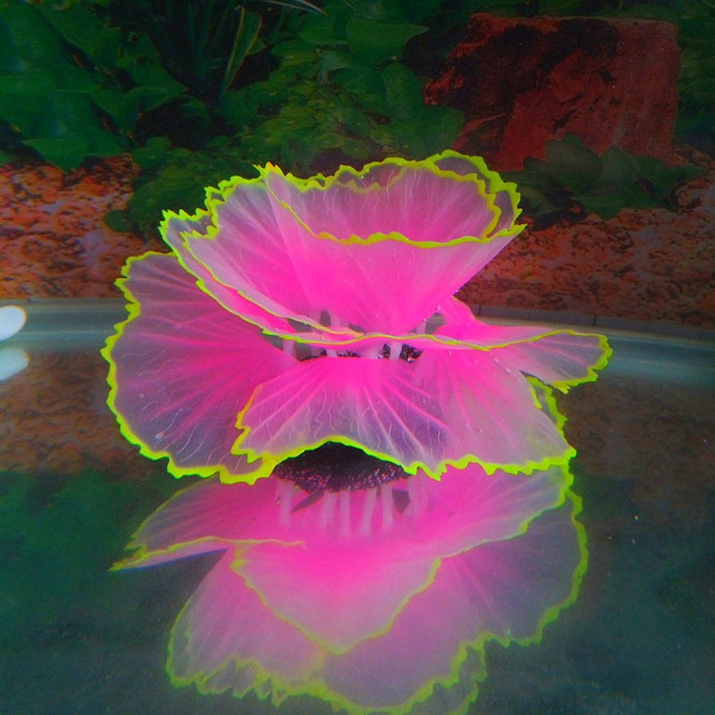 Besimple Aquarium Coral Ornament Glowing Effect Coral Decor Resin Fish Tank Plants Decoration for Aquarium Tank Landscape(Pink) - Image 2