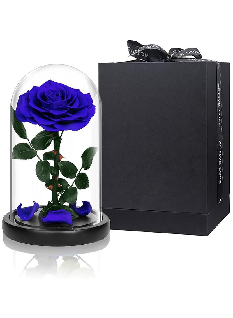 معرض الأعياد وردة محفوظة يدويًا، زهور لا تذبل أبدًا، هدية لحفلات الزفاف، وأعياد الميلاد، وعيد الأم، وأفضل هدية لها (وردة واحدة، زرقاء) - Image 2
