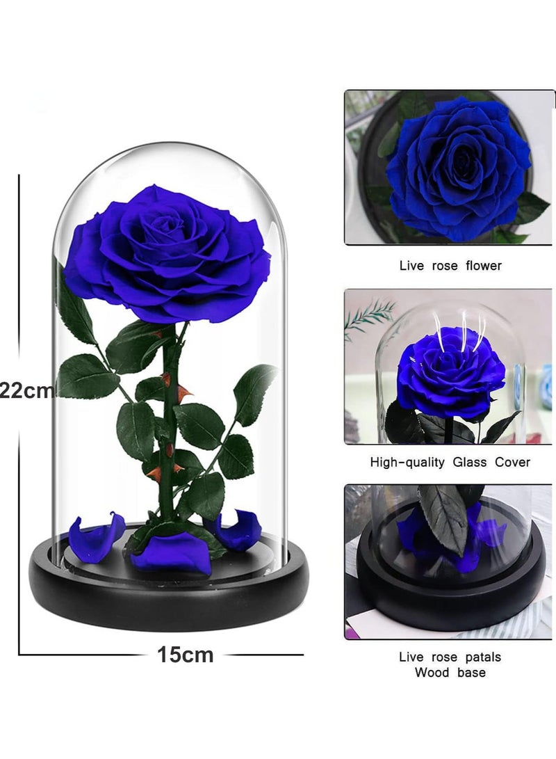 معرض الأعياد وردة محفوظة يدويًا، زهور لا تذبل أبدًا، هدية لحفلات الزفاف، وأعياد الميلاد، وعيد الأم، وأفضل هدية لها (وردة واحدة، زرقاء) - Image 3