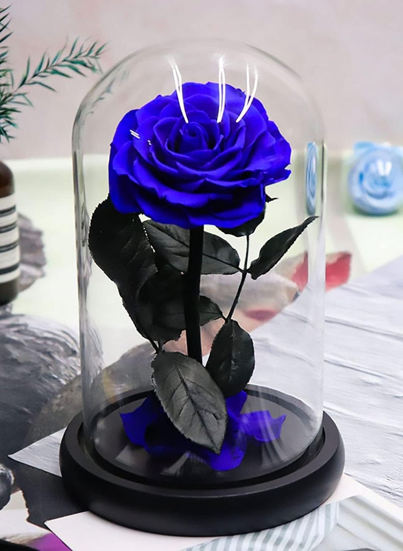 معرض الأعياد وردة محفوظة يدويًا، زهور لا تذبل أبدًا، هدية لحفلات الزفاف، وأعياد الميلاد، وعيد الأم، وأفضل هدية لها (وردة واحدة، زرقاء) - Image 1