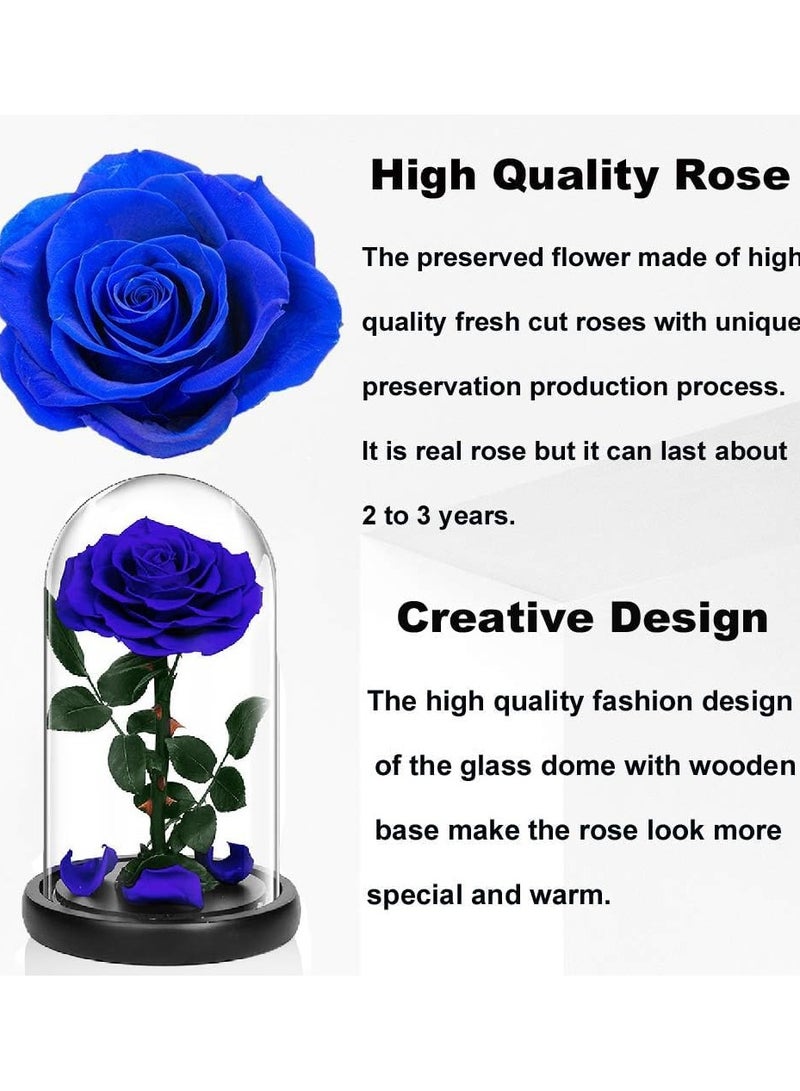 معرض الأعياد وردة محفوظة يدويًا، زهور لا تذبل أبدًا، هدية لحفلات الزفاف، وأعياد الميلاد، وعيد الأم، وأفضل هدية لها (وردة واحدة، زرقاء) - Image 4