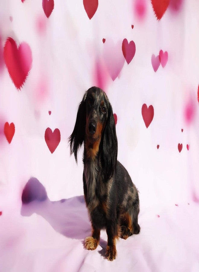 موكسيكا خلفية تصوير فوتوغرافي مزينة بقلب أحمر من موكسيكا، مقاس 7 × 5 قدم، مصنوعة من الفينيل، مناسبة لتصوير يوم الصديقات، وتصوير الفيديو، والخلفيات، والدعائم. - Image 5