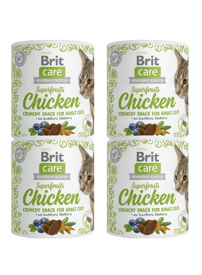 بريت كير وجبة خفيفة مقرمشة بنكهة الدجاج والفواكه الخارقة مع نبق البحر والتوت الأزرق للقطط البالغة ١٠٠ غرام من بريت كير - عبوة من ٤ قطع - Image 1