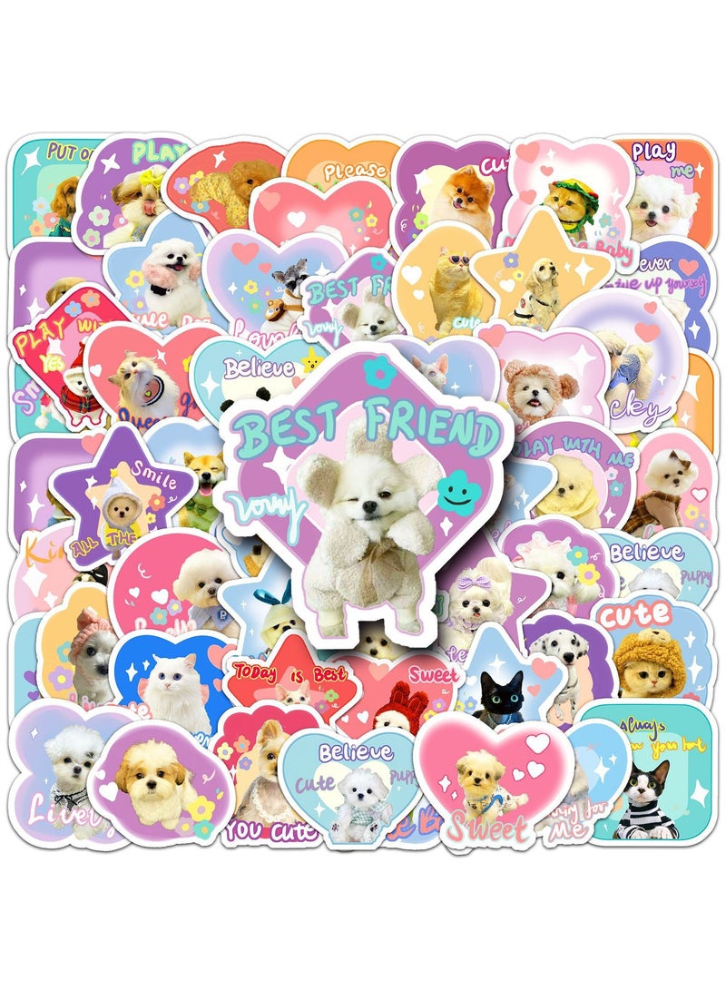 قوس قزح أورينبو مجموعة ملصقات فينيل مقاومة للماء على شكل كلب أو قطة أو فتاة أو مراهق أو صبي أو طفل، 50 قطعة من ملصقات فينيل مقاومة للماء لزجاجة المياه أو قوارير المياه أو الكمبيوتر المحمول أو الأمتعة أو الهاتف أو الجهاز اللوحي أو الدراجة أو حزمة ملصقات كرتونية - Image 1