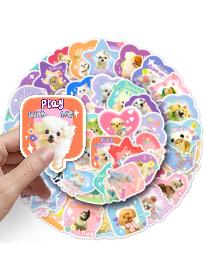 قوس قزح أورينبو مجموعة ملصقات فينيل مقاومة للماء على شكل كلب أو قطة أو فتاة أو مراهق أو صبي أو طفل، 50 قطعة من ملصقات فينيل مقاومة للماء لزجاجة المياه أو قوارير المياه أو الكمبيوتر المحمول أو الأمتعة أو الهاتف أو الجهاز اللوحي أو الدراجة أو حزمة ملصقات كرتونية - Image 2