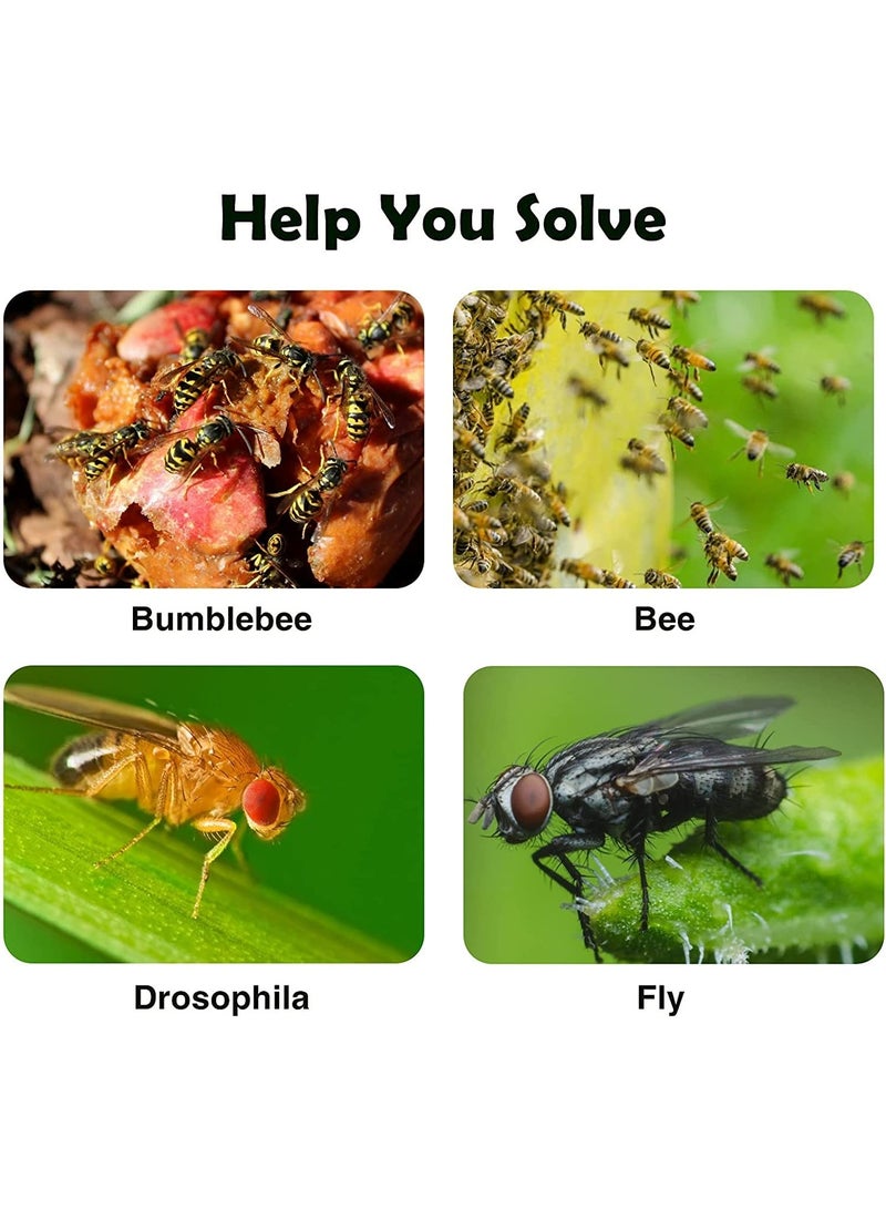 CMGTYYD. مصيدة ذباب، مصائد كرات ذباب الفاكهة، عبوة من 4 مصائد ذباب لاصقة معلقة، للاستخدام الداخلي/المطبخ، مرنة وسهلة الحمل، مصيدة ذباب فاكهة اليقطين صغيرة الحجم للاستخدام المنزلي ضد آفات ذباب الفاكهة، للاستخدام الداخلي/النباتات. - Image 5