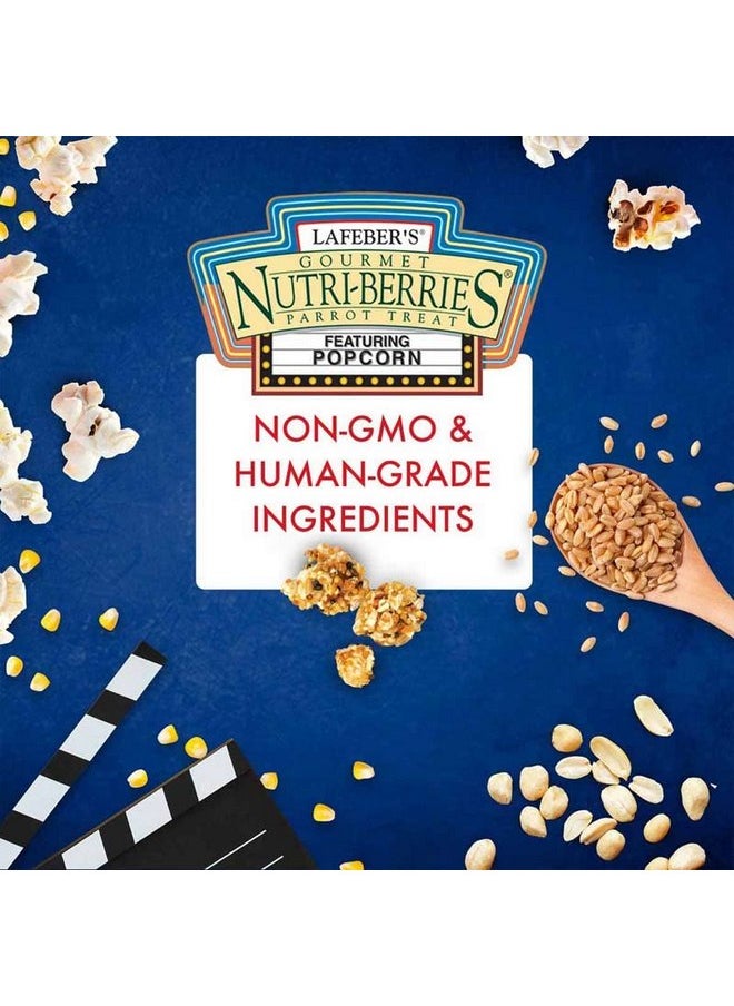 لافيبيرز فشار LAFEBER'S Nutri-Berries، للببغاوات، كيس 4 أونصة (عبوة من قطعتين)  - Image 4
