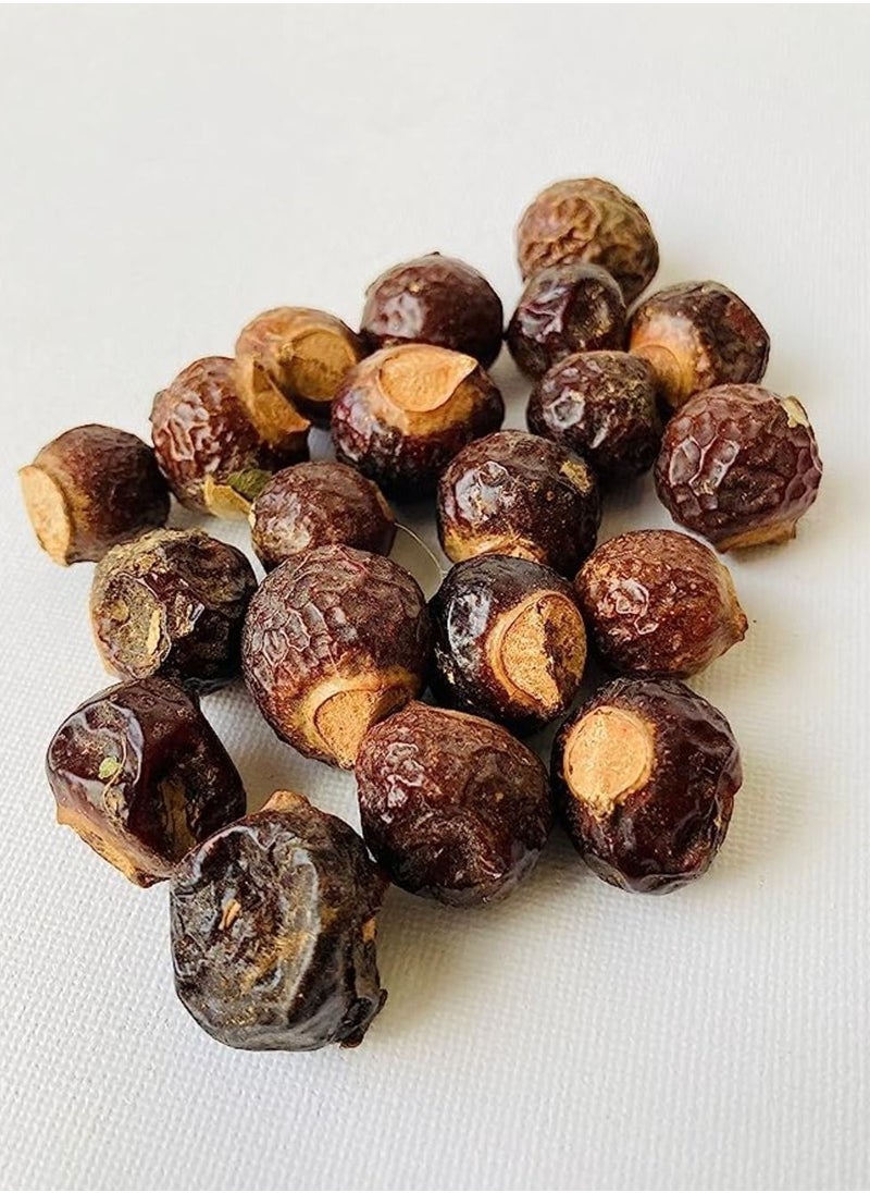 Awafi Mill Reetha Areetha Kunkudukaialu Soap Forest Natural Organic Whole Dried Reetha Soap Nuts Aritha Raw Form 150  - Image 2