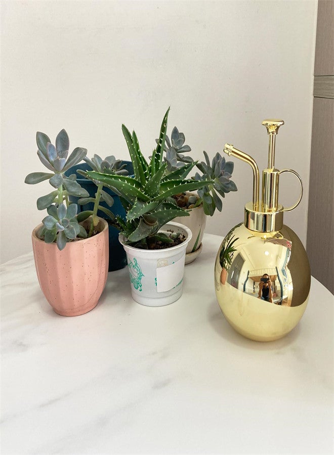 KASTWAVE Plant Spray Bottle, Stainless Steel Plant Sprayer, Retro Gold Watering Misting Small Spray Bottle, Modern Gardening Tools for Indoor Potted Plants Watering and Spraying - Image 5