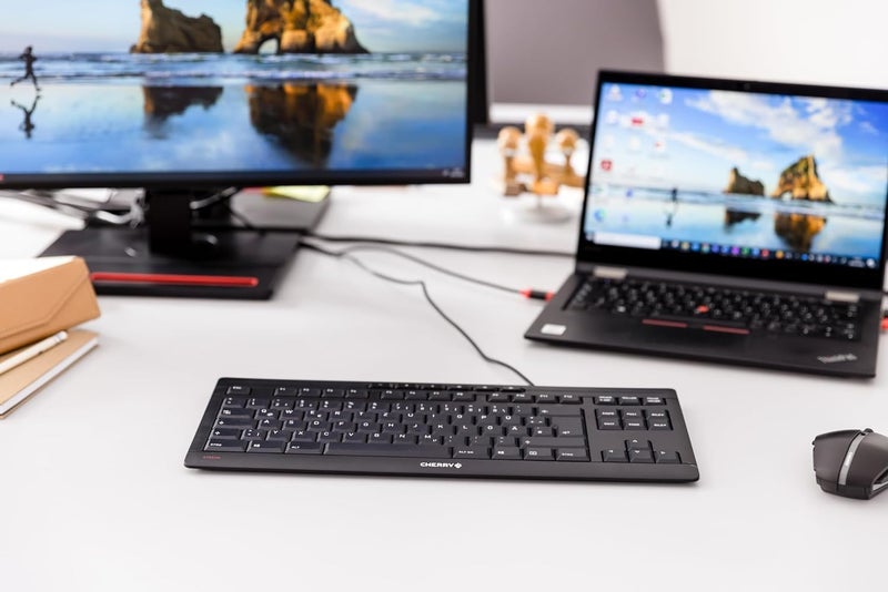 Cherry Stream Keyboard TKL Wired USB TenKeyLess Compact Version without Number Pad. Silent Keystroke. Ideal for Office and Industrial Use. - Image 2