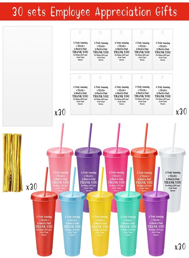 Skylety 30 Sets Thank You Cups with Lids and Straws Bulk 24 oz Plastic Tumbler Cup Appreciation Gifts for Team Coworker Teacher Nursing Housekeeping Week Christmas Gift(Grateful) - Image 3