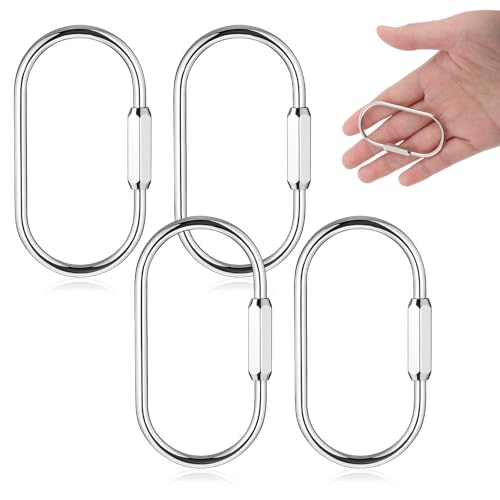 Xosjska 4 Pcs Silver Keychain Clip Locking Key Ring Silver Carabiner Key Chain Stainless Steel Keyrings Screw Carabiner for Women and Men - Image 1