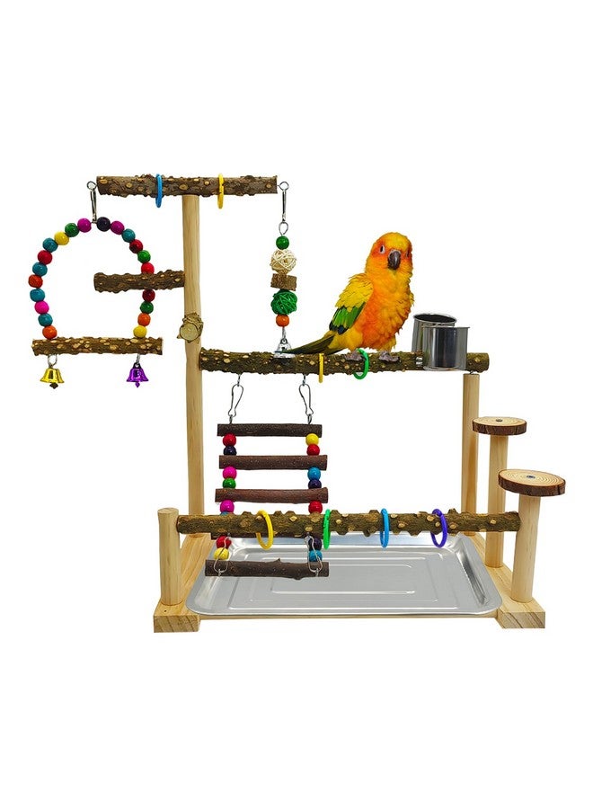 kathson Parrot Play Stand Parakeet Playground Bird Jungle Gym Wood Conure Playstand Hanging Chewing Toys with Swings and Feeder Cups Bird Cage Accessories for Cockatiel Lovebirds Budgie - Image 1