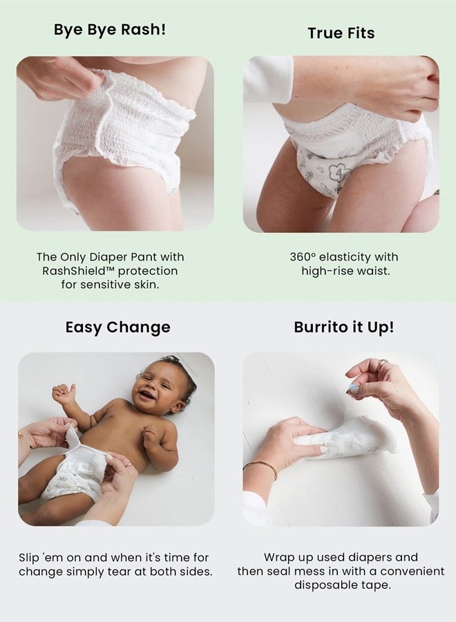 Parasol Clear+Dry Natural Training Diaper Pants, Pure Ingredients, Water Based Ink, Non-Woven Fabric with Dermatest Excellent Seal, Rash Protection, Size 5 (26+ lbs), 48 Count - Image 2