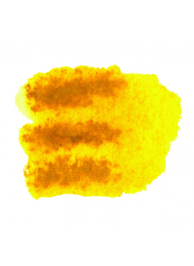 Daniel Smith Daniel Smith Extra Fine Watercolor Paint, 12ml Stick, Nickel Azo Yellow, 284670025  - Image 5