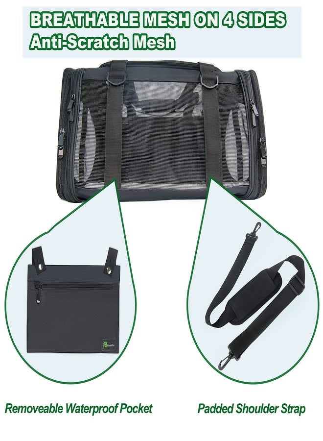 NextFri Soft-Sided Pet Carrier for Cats Small Dogs of 15 Lbs Medium Black - Image 3