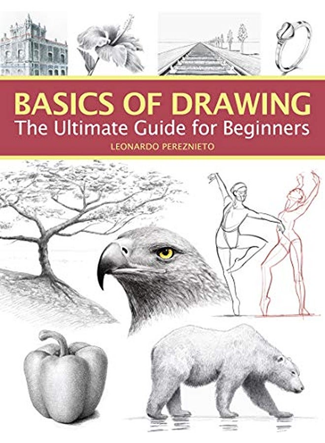 Basics of Drawing: The Ultimate Guide for Beginners