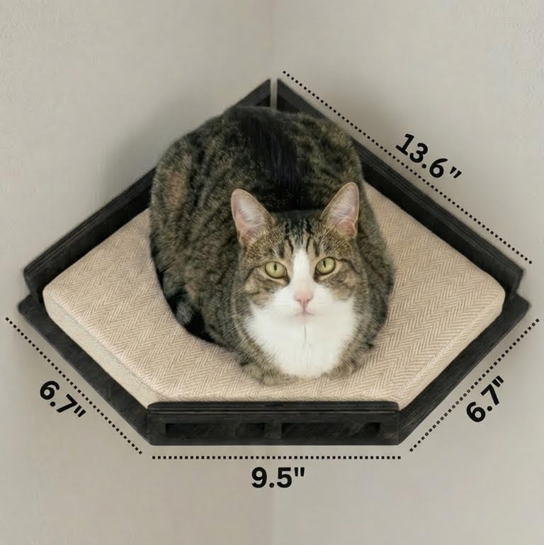 INICIO Cat Wall Shelves - Modern and Durable 3 Step Cat Furniture for Wall - Stylish Birch Floating Shelf for Cats up to 15lbs - Wooden Corner Shelves with Cushioned Perch - Black - Image 3