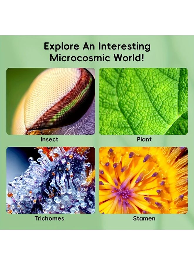 Pink 3 Inch IPS HD Screen 1000x Magnifying Handheld Digital Magnifying Glass USB Microscope Camera For PC Kids Educational Gift - Image 5