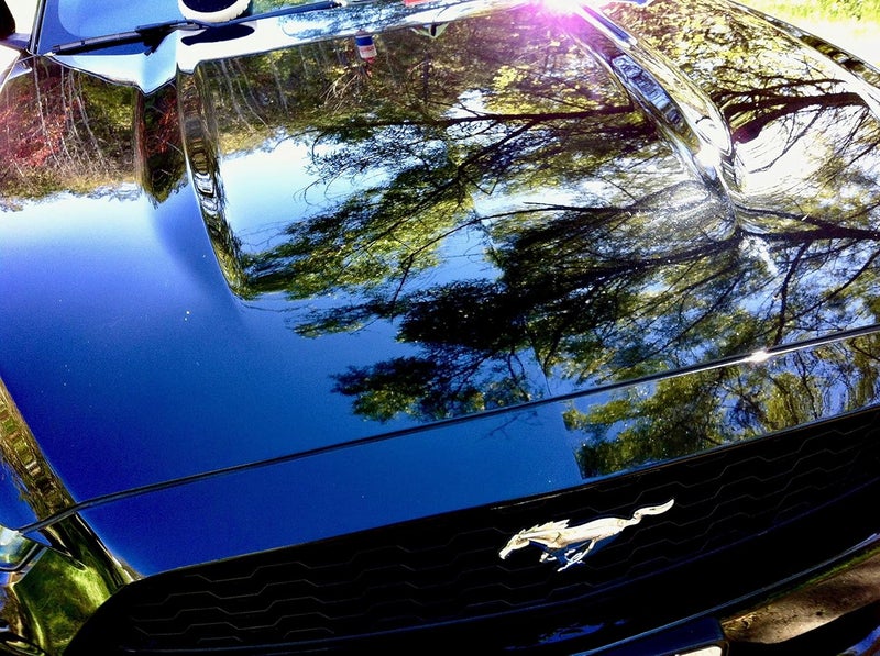 Renew Protect RP.11 Detailer 16oz- Strongest Detailing Spray & Dry-Wash, Ceramic-Hybrid Formula, Color Depth + Gloss Finish, Quartz & Titanium Ceramics, Fine Polish & High-Grade Carnauba - Image 4