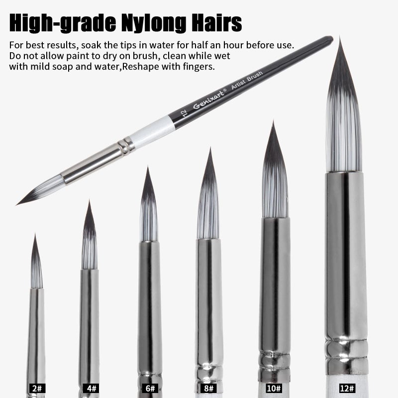 Genixart Round Pointed Tip Paint Brushes Set, 6 Pcs Artist Paintbrushes for Acrylic Oil Watercolor Gouache Painting, Premium Nylon Hair Art Paint Brush for Beginners and Professionals - Image 3