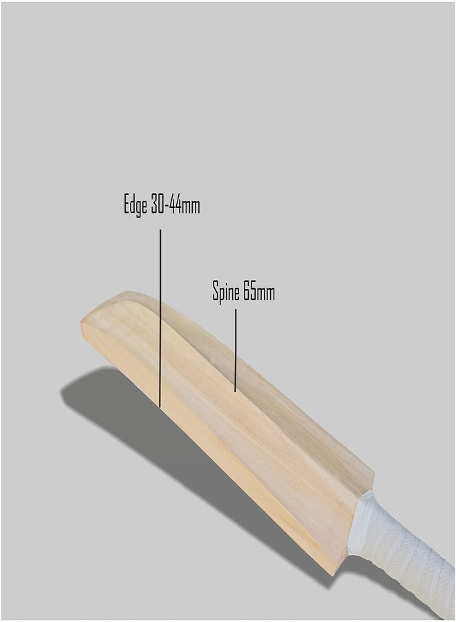 Jaspo Club-Craze Kashmir Willow Full Size Grade 1 Cricket Bat for Tournament with Bigger Sweet Spot and Singapore Cane Handle Approx Weight 1200-1250 Grams (Short Handle) (Mumbai Warriors) - Image 5