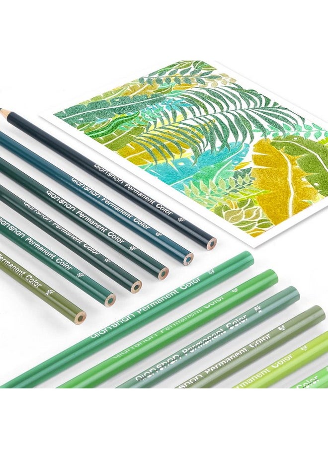 Qianshan 12 Green Colored Pencils Oil Based Pre-Sharpened Wooden Colored Pencil Set For Adults Coloring Books Drawing Sketching Art Supplies, No Duplicates  - Image 5