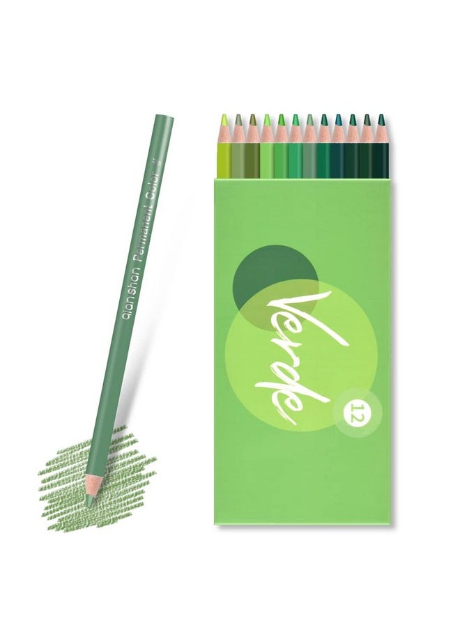 Qianshan 12 Green Colored Pencils Oil Based Pre-Sharpened Wooden Colored Pencil Set For Adults Coloring Books Drawing Sketching Art Supplies, No Duplicates  - Image 3