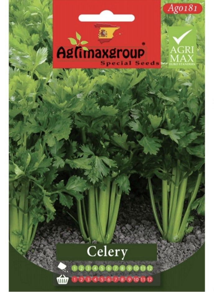 أجريماكس بذور الكرفس عالية الجودة من Agrimaxgroup® - Image 2