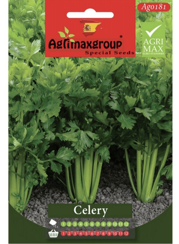 أجريماكس بذور الكرفس عالية الجودة من Agrimaxgroup® - Image 1