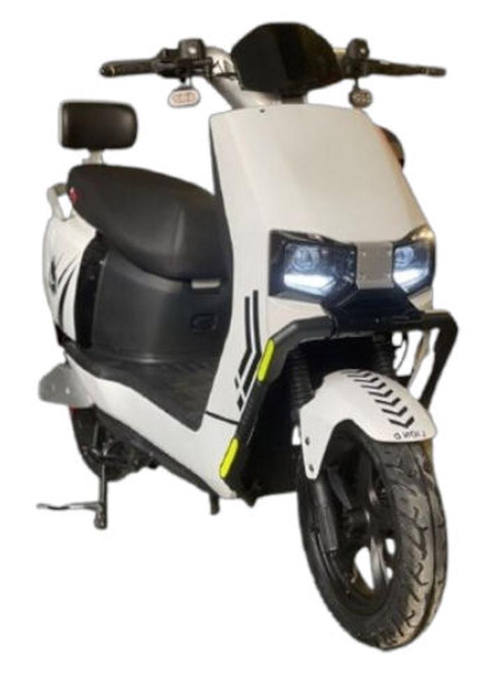 Electric Scooter Lion