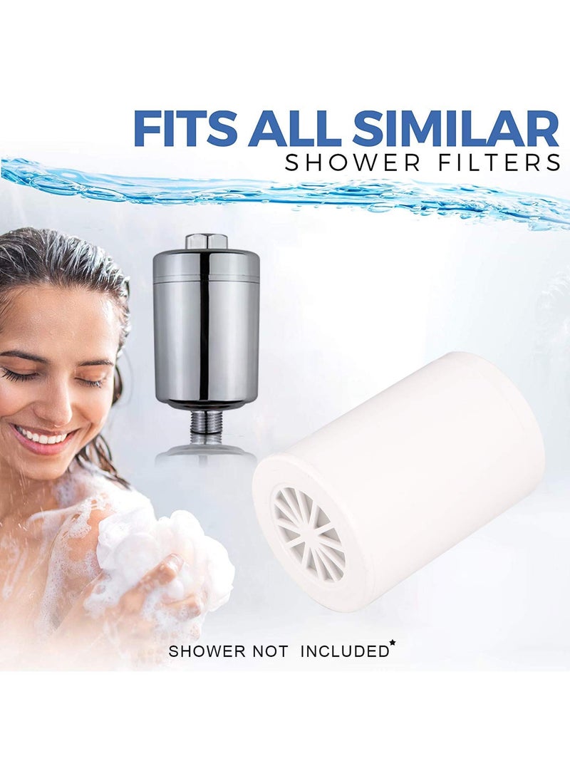 ORILEY ORILEY Advanced Shower Filter Tap Water Replaceable Filter with 15 Stage of Rejuvenation Catridge Only 1 Pc  - Image 5