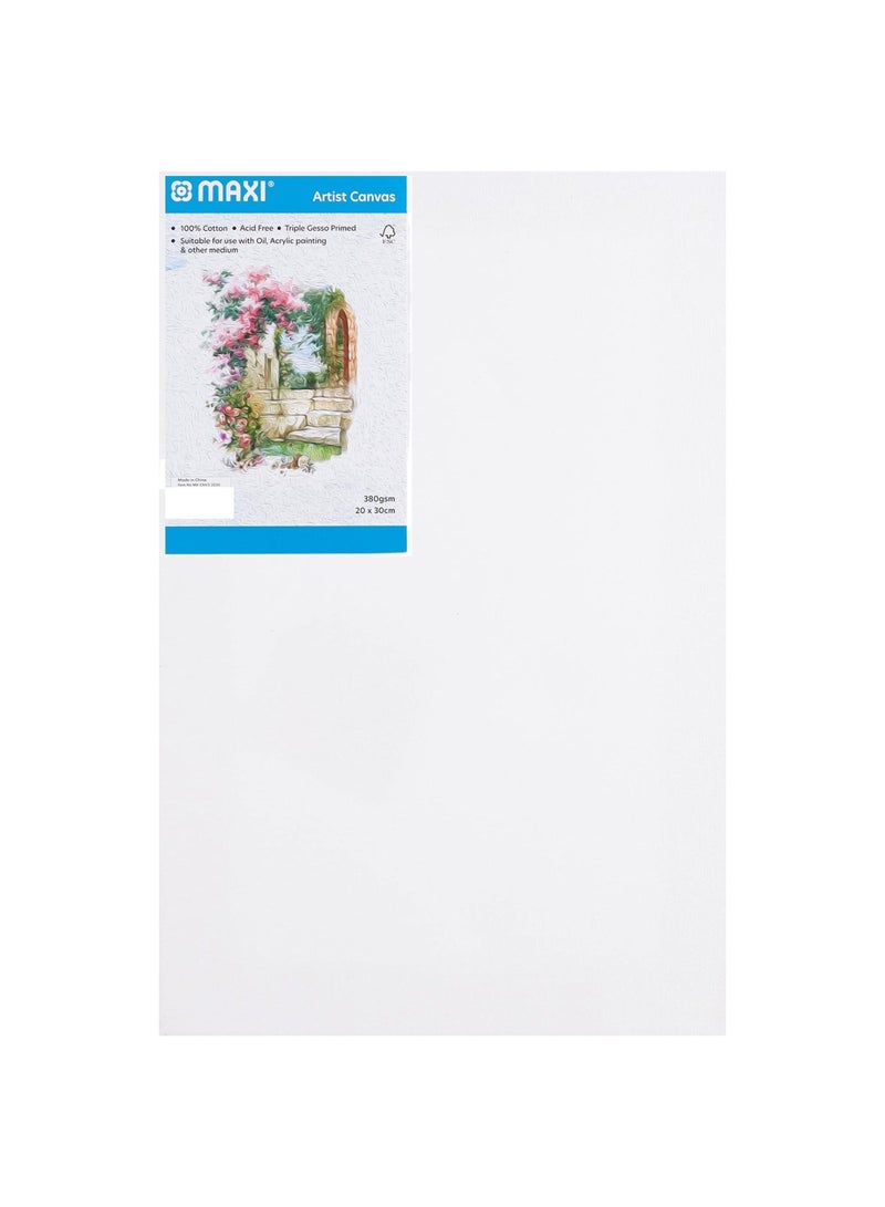 Maxi 1-Piece Stretched Canvas 20x30cm Size 380gsm Thickness