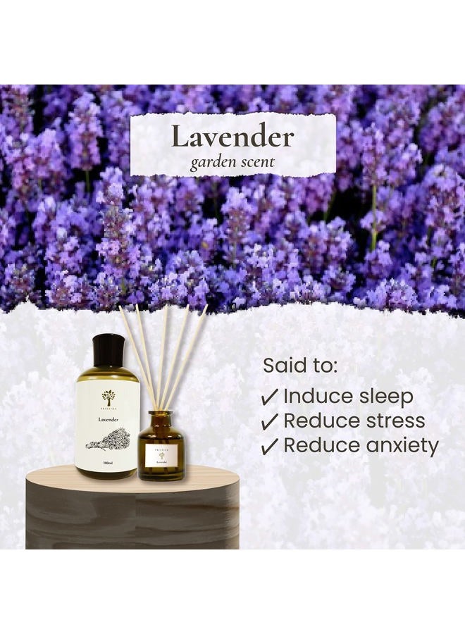 PRISTINE The Lavender Dream Reed Diffuser for Home | Fresh Lavender & Eucalyptus Room Fragrance Reed Diffusers, Oil & Room Diffusers with Reeds Stick Set | Perfect Home Fragrance Scent - Image 3