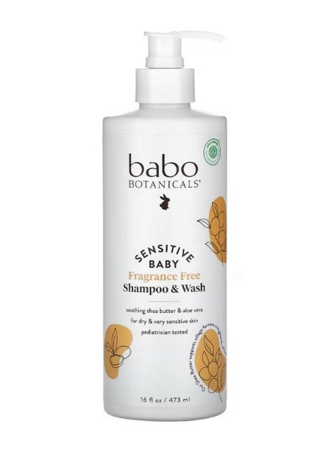 Sensitive Baby Shampoo  Wash Fragrance Free 16 fl oz 473 ml - pzsku/Z2B66CF302F093D77799FZ/45/_/1695293929/a60880cf-cf57-4cee-a8c9-dde640f183a9