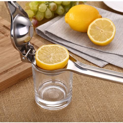 Suzec Stainless Steel Finish Heavy Quality Lemon Squeezer with Comfortable Handle for Extracting Lemon Juice. Modern Kitchen Tool - Image 4