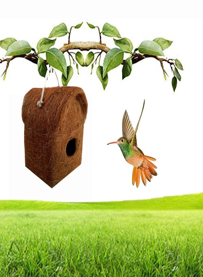 LIVEONCE 3 Pure Nest Bird House Purely Handmade with Easy Hanging Rings - Image 5