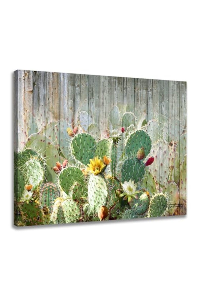 Woxfcart Bathroom Decor Wall Art Cactus Picture Canvas Prints Tropical Plant Cactus Flowers wood grain Vintage Poster for Home Teal Walls Decoration Size 16"x12" - Image 2