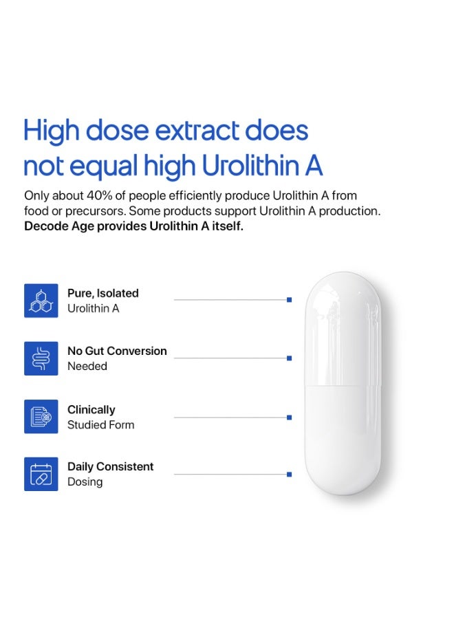 DECODE AGE Urolithin A 30 Capsules - Image 2